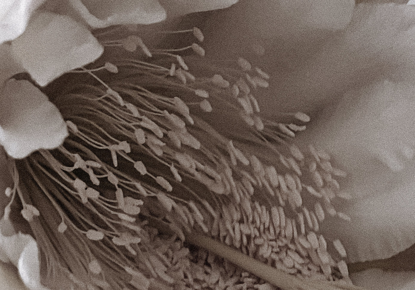 Scent #6: Church of light