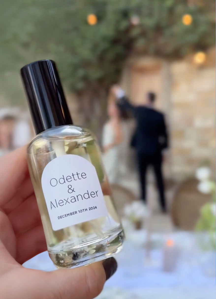Odette_Twirl_Screen_shot_Twirl_AI_copy.jpg