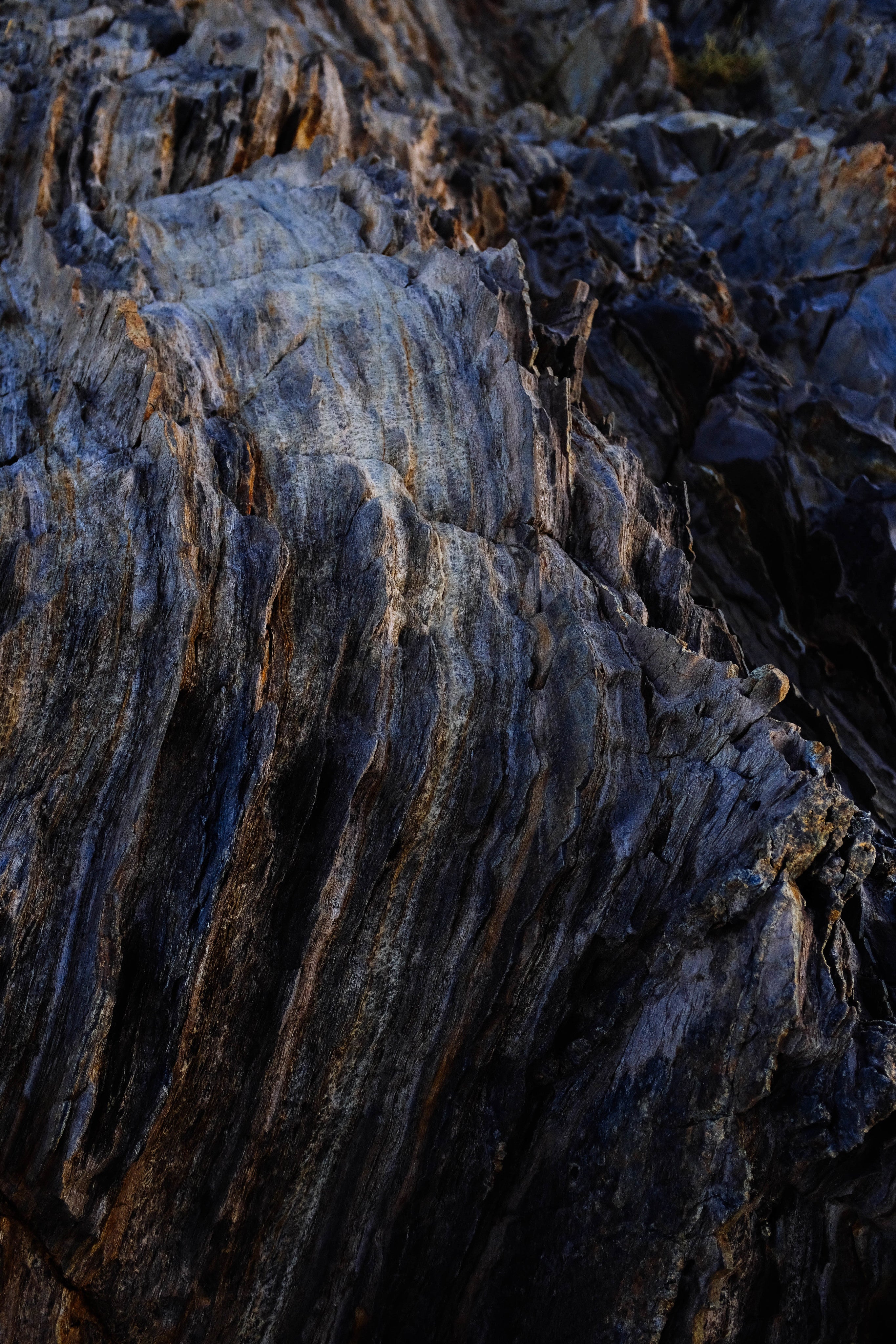 aged-wood-with-blue-tones.jpg